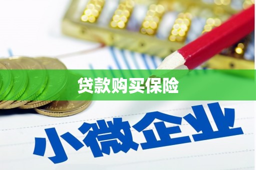 海东贷款购买保险