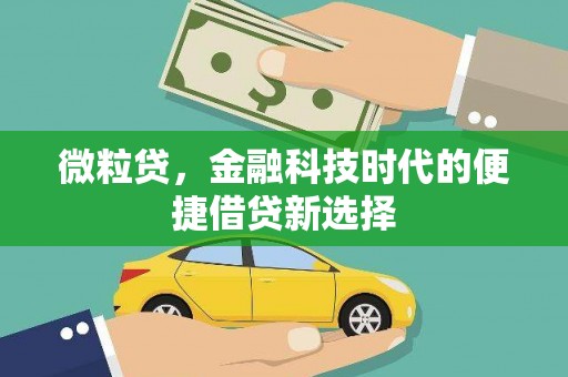 海东微粒贷，金融科技时代的便捷借贷新选择