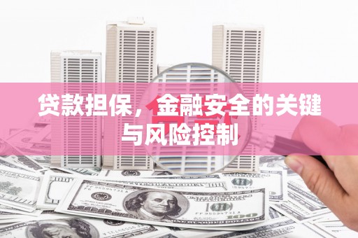 海东贷款担保，金融安全的关键与风险控制