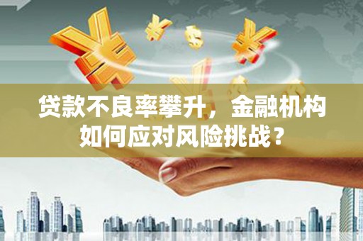 海东贷款不良率攀升，金融机构如何应对风险挑战？