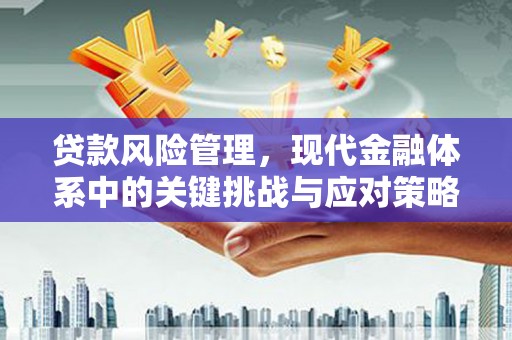 海东贷款风险管理，现代金融体系中的关键挑战与应对策略