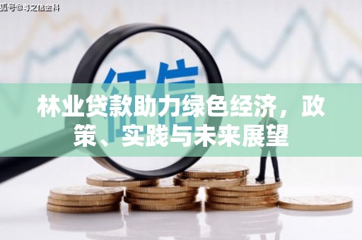 海东林业贷款助力绿色经济，政策、实践与未来展望