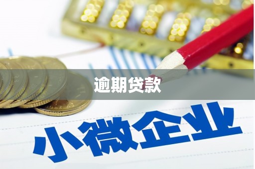 海东逾期贷款