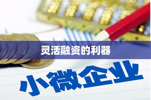 海东灵活融资的利器