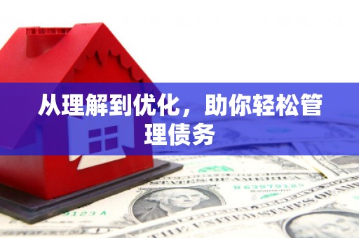 海东从理解到优化，助你轻松管理债务