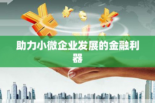 海东助力小微企业发展的金融利器