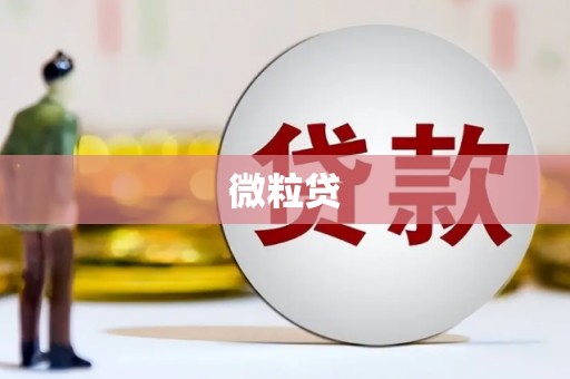 海东微粒贷