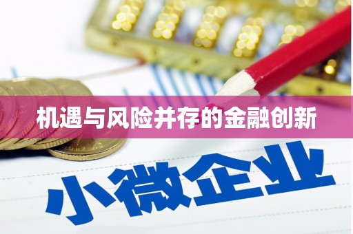 海东机遇与风险并存的金融创新