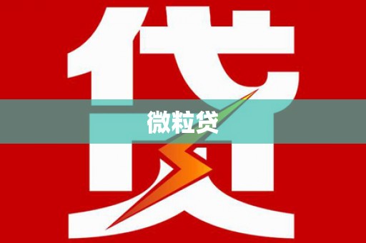 海东微粒贷