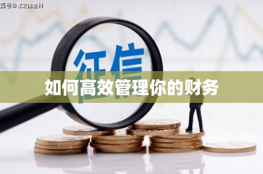 海东如何高效管理你的财务