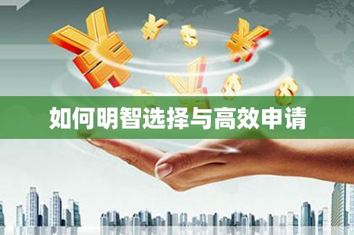 海东如何明智选择与高效申请