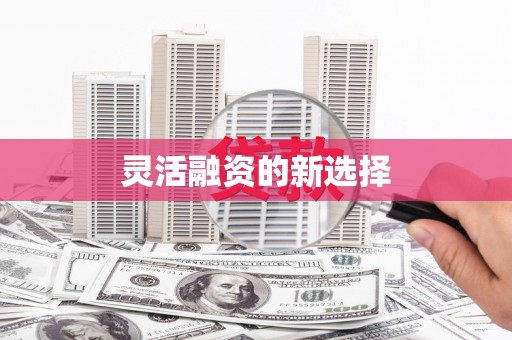 海东灵活融资的新选择