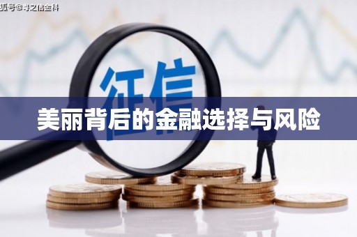 海东美丽背后的金融选择与风险