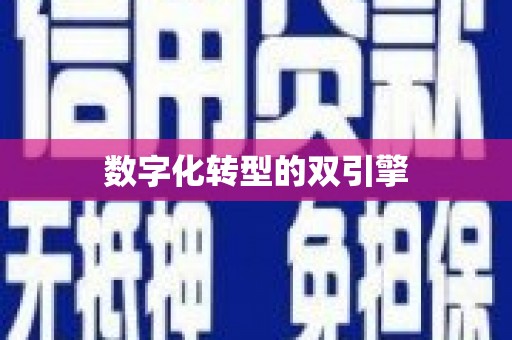 海东数字化转型的双引擎