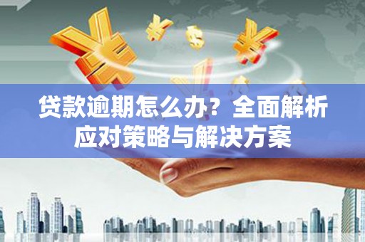 海东贷款逾期怎么办？全面解析应对策略与解决方案