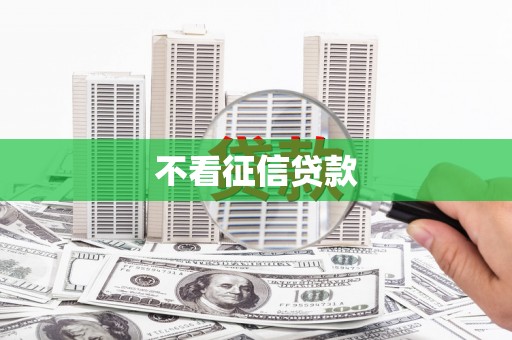 海东不看征信贷款