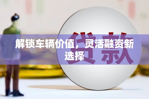 海东解锁车辆价值，灵活融资新选择