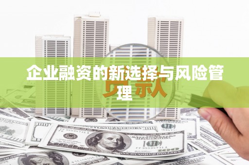 海东企业融资的新选择与风险管理