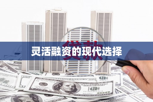 海东灵活融资的现代选择