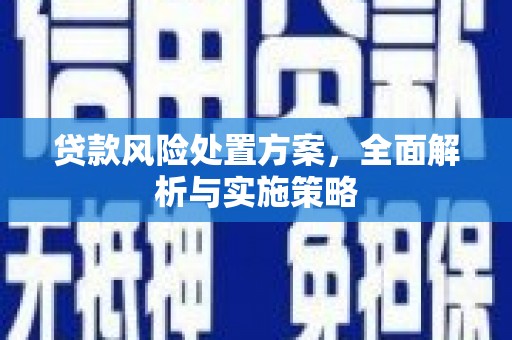 海东贷款风险处置方案，全面解析与实施策略