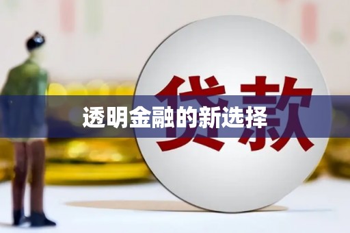 海东透明金融的新选择