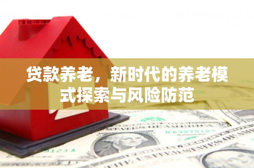 海东贷款养老，新时代的养老模式探索与风险防范
