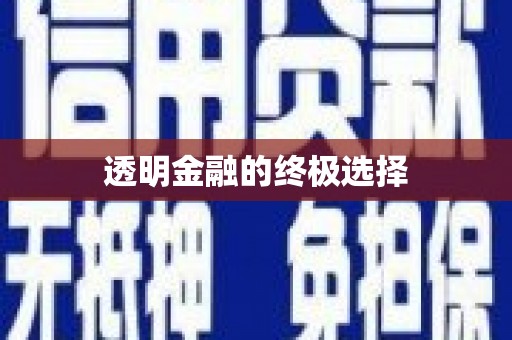 海东透明金融的终极选择