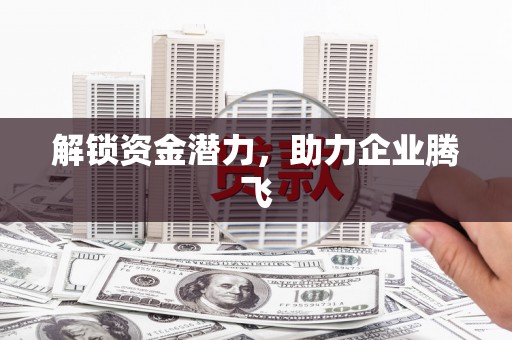 海东解锁资金潜力，助力企业腾飞
