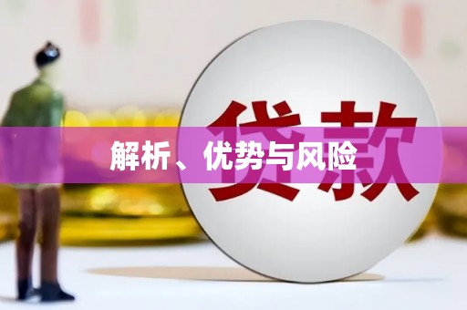 海东解析、优势与风险