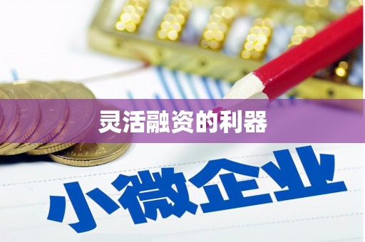 海东灵活融资的利器