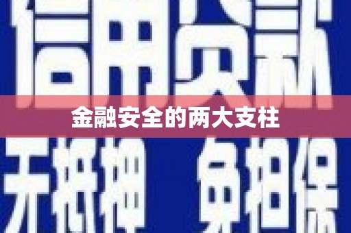 海东金融安全的两大支柱