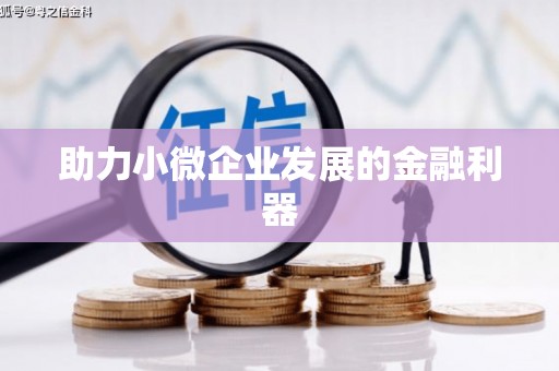 海东助力小微企业发展的金融利器