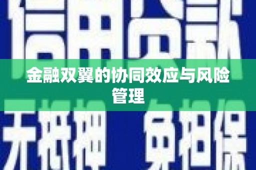 海东金融双翼的协同效应与风险管理