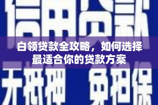 海东白领贷款全攻略，如何选择最适合你的贷款方案