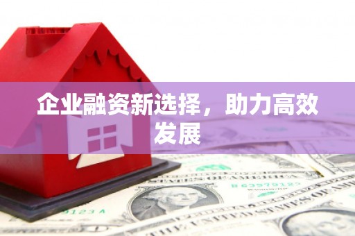 海东企业融资新选择，助力高效发展