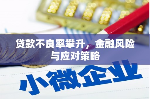海东贷款不良率攀升，金融风险与应对策略