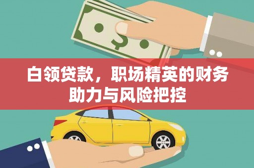 海东白领贷款，职场精英的财务助力与风险把控