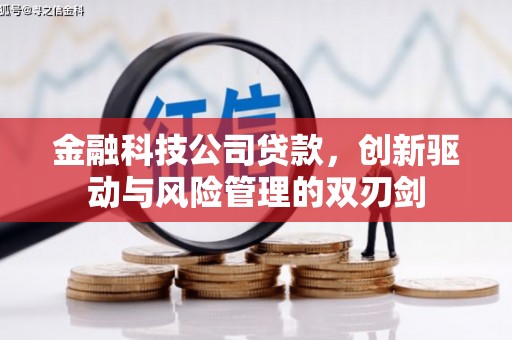 海东金融科技公司贷款，创新驱动与风险管理的双刃剑